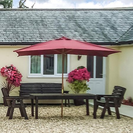 Peach Tree Cottage Winterbourne Steepleton 外观 照片